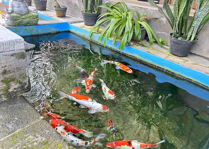 招待所 德瓦豪斯比斯玛酒店 乌布